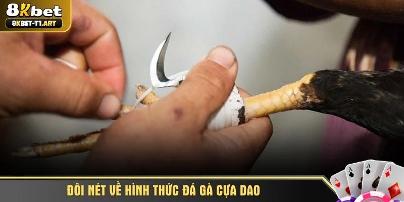 Đôi nét về hình thức đá gà cựa dao